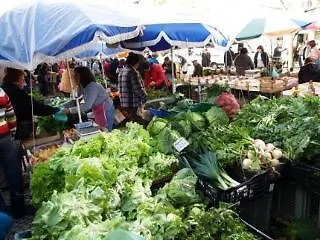 Encosta Das Freiras بيت ضيافة 4*